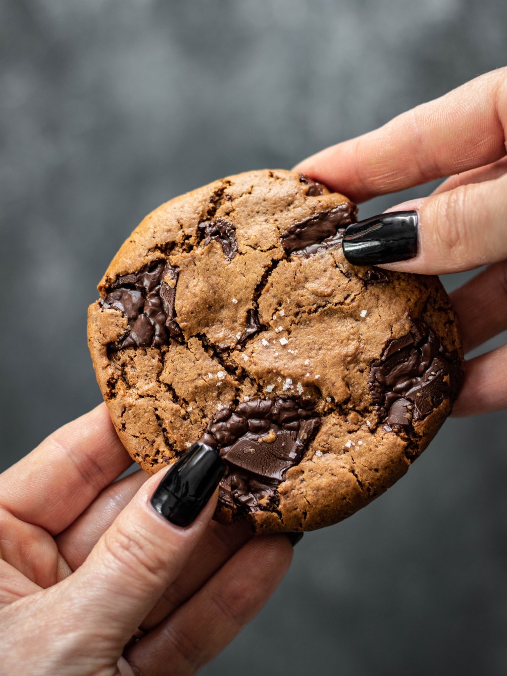 Cookies vegan paleo sans gluten - The V world